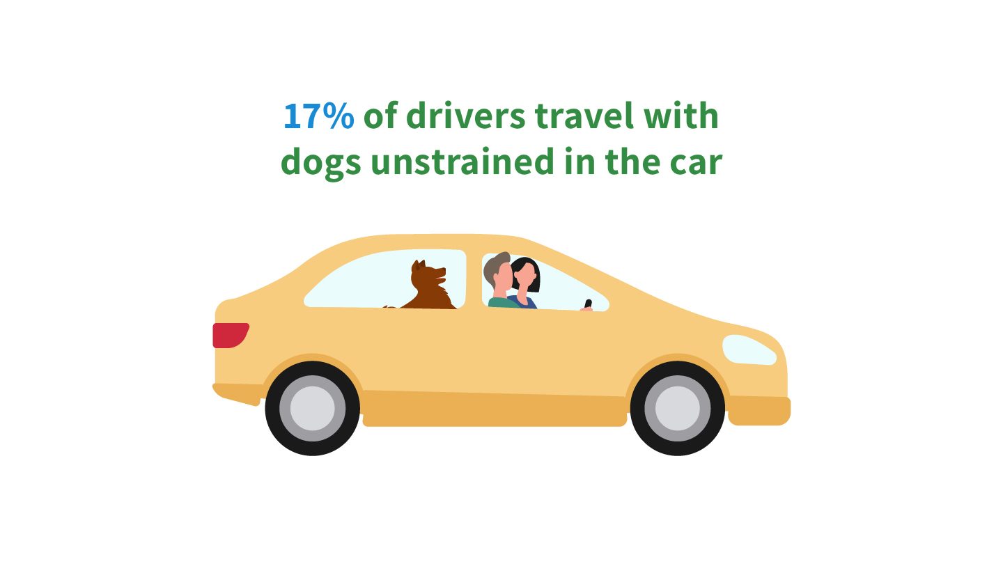 Mozo’s 2021 Road Trip Report How your car insurance could impact